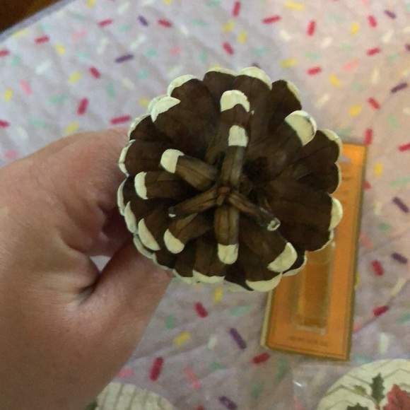 Christmas Set: 4 coasters, pinecone decor, oil - Picture 4 of 5